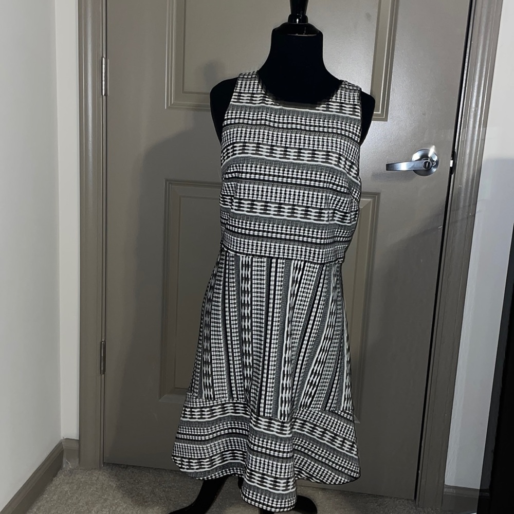 Black & White Flare Dress
